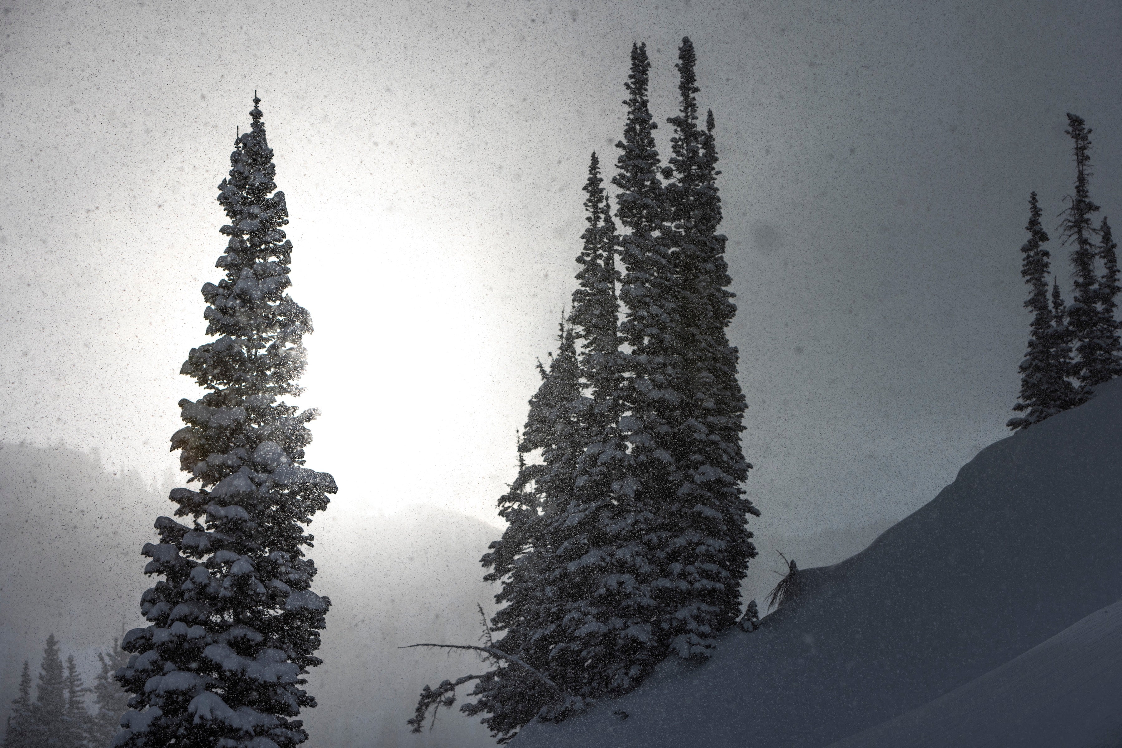 We Build Skis to Last