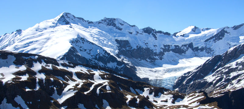 Odd Bedfellows in New Zealand’s Southern Alps